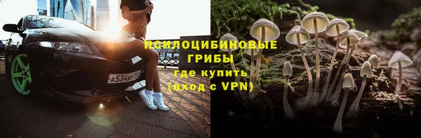 apvp Алзамай