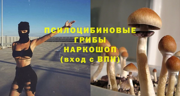 амфетамин Алексин