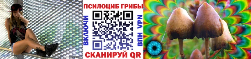 Псилоцибиновые грибы мухоморы  как найти закладки  Козловка 